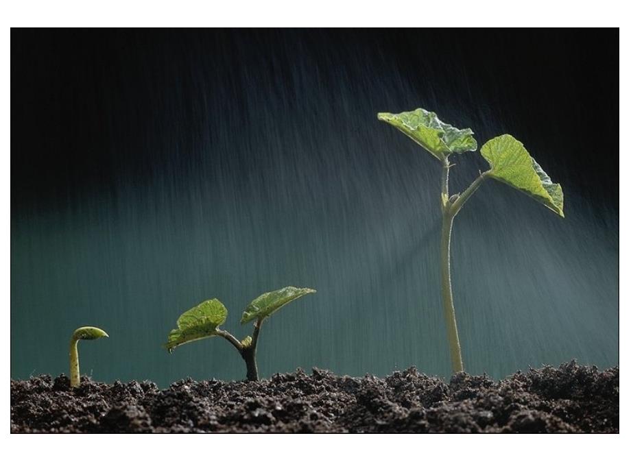 修改春雨的色彩_第3页