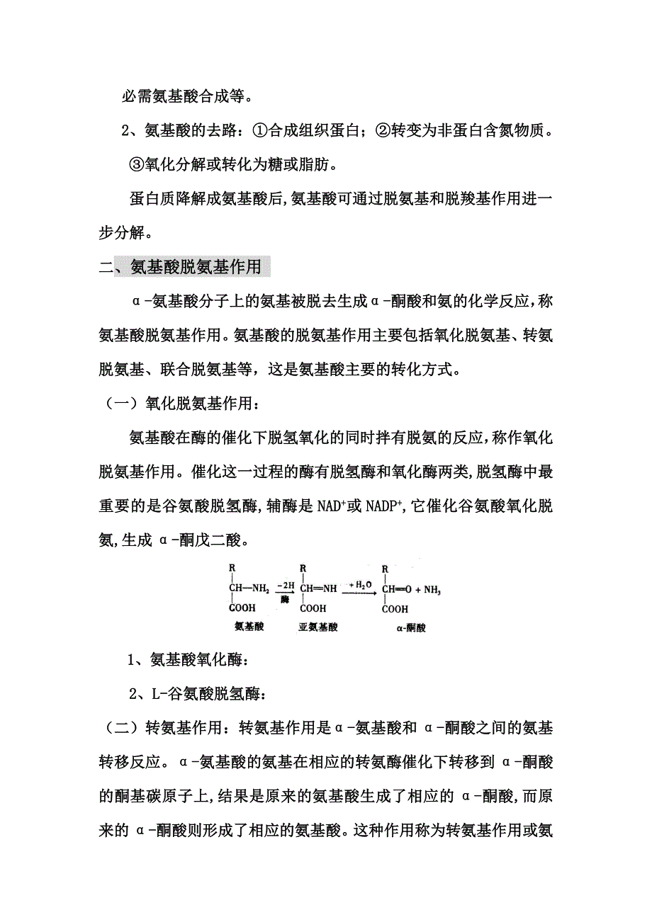 氨基酸代谢说课_第3页