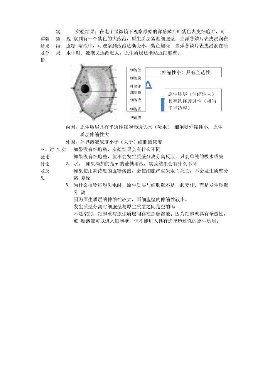 质壁分离实验报告_第2页