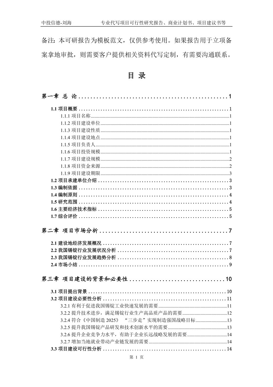 锡锭项目可行性研究报告模板_第2页