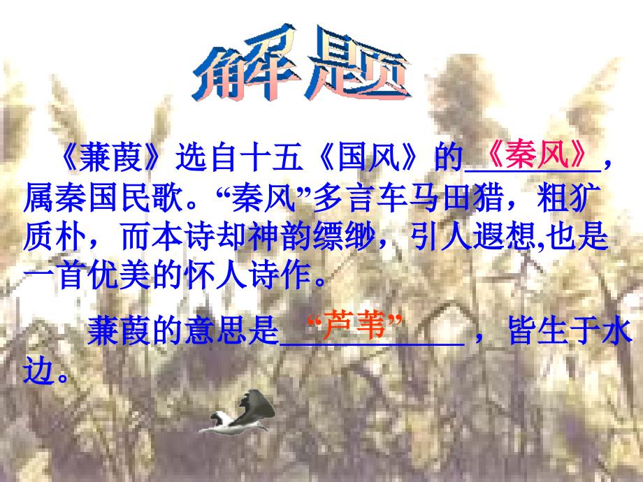 《蒹葭》的PPT(1)_第4页