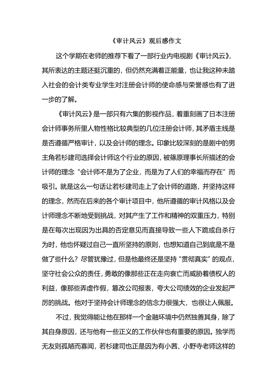 《审计风云》观后感作文_第1页