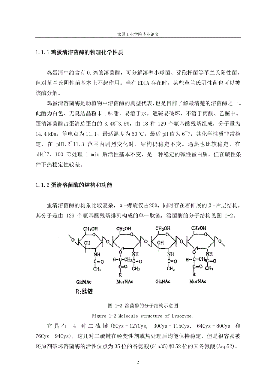 蛋清溶菌酶的研究-毕设论文.doc_第2页