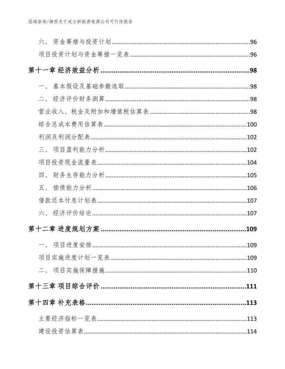 湘西关于成立新能源电源公司可行性报告（模板范文）_第5页