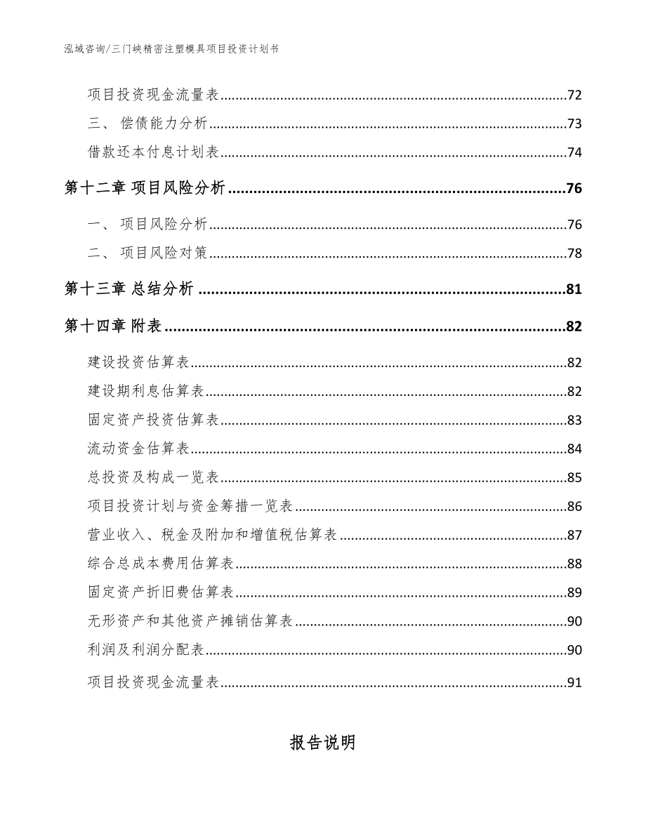 三门峡精密注塑模具项目投资计划书（参考范文）_第4页