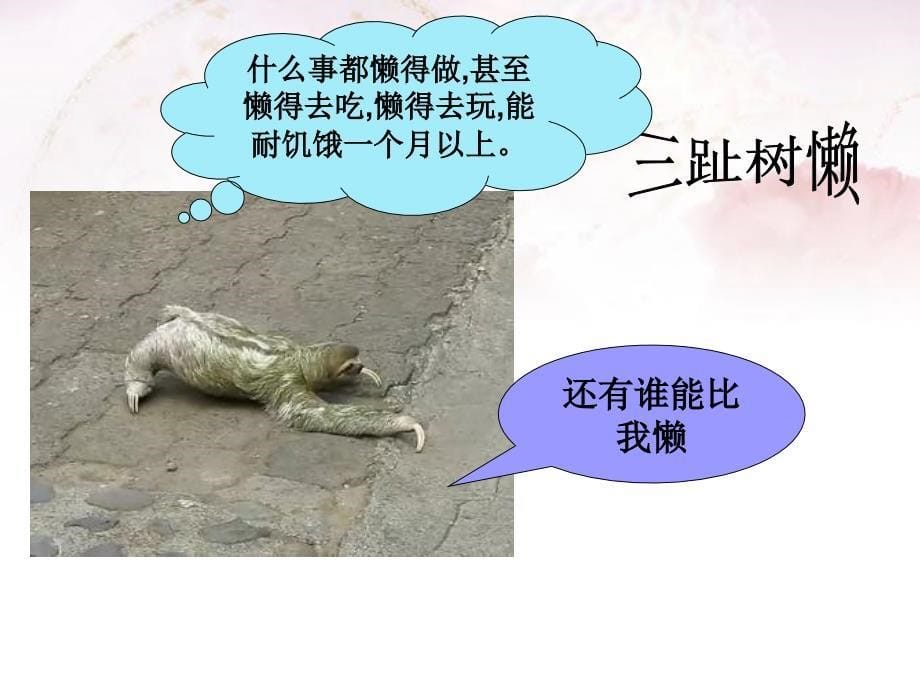 七年级上生物绪论_第5页