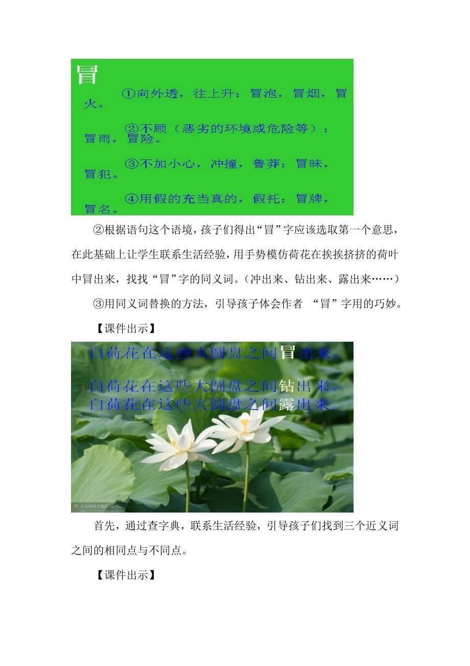 《荷花》教学设计_第5页