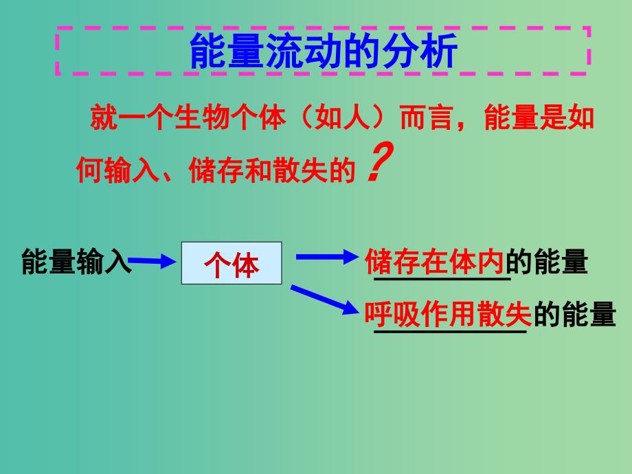 高中生物 5.2 生态系统的能量流动课件1 新人教版必修3 .ppt_第4页