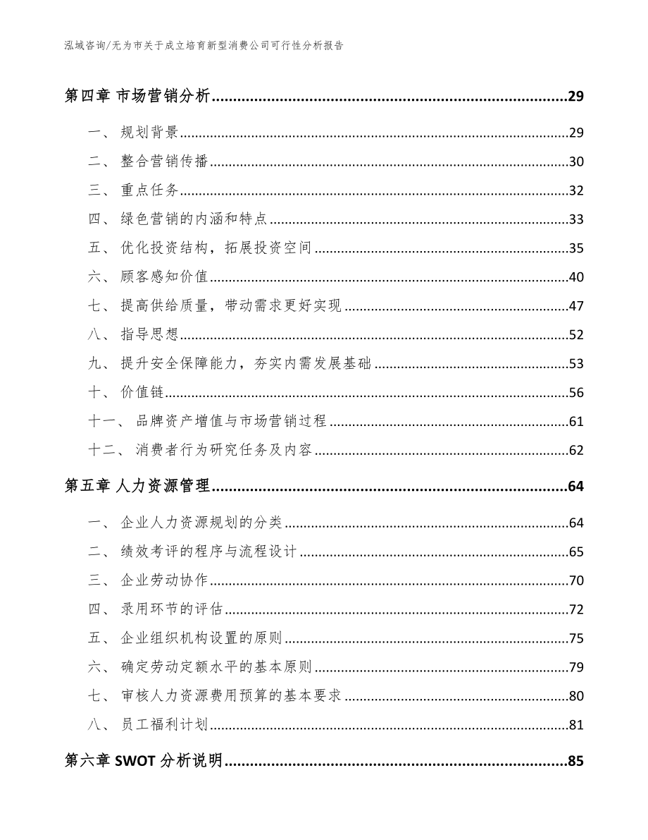 无为市关于成立培育新型消费公司可行性分析报告模板范本_第2页