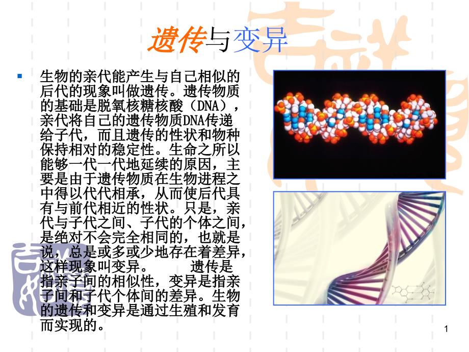 遗传与变异手抄报_第1页