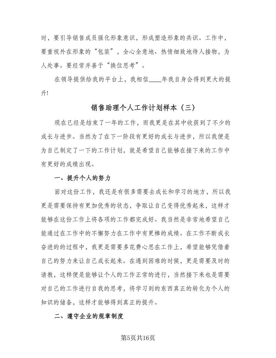 销售助理个人工作计划样本（八篇）.doc_第5页