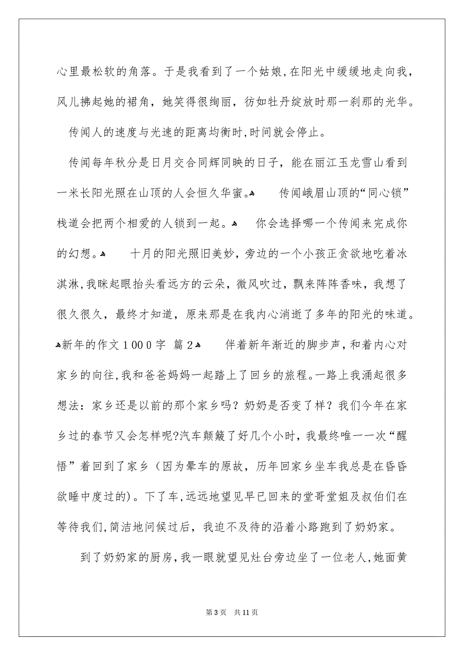 新年的作文1000字4篇_第3页