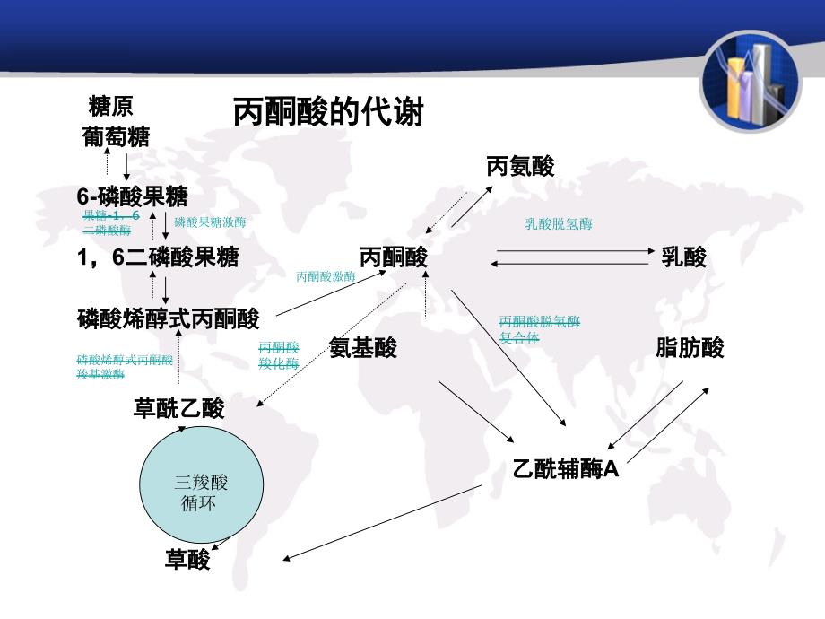 乳酸与重症医学_第3页