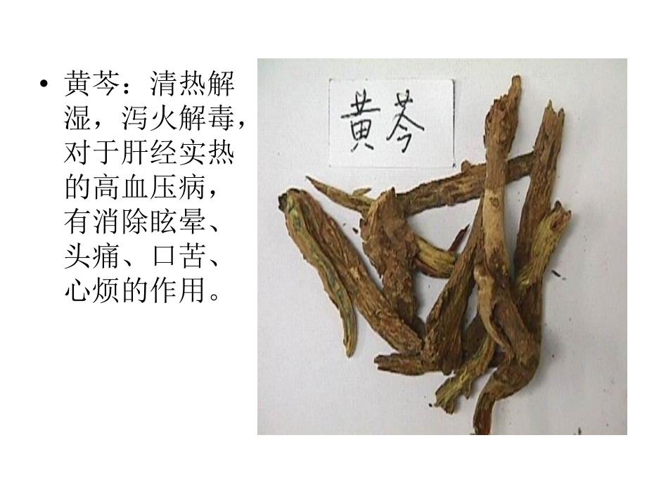 常见的降血压草药附带图片_第4页