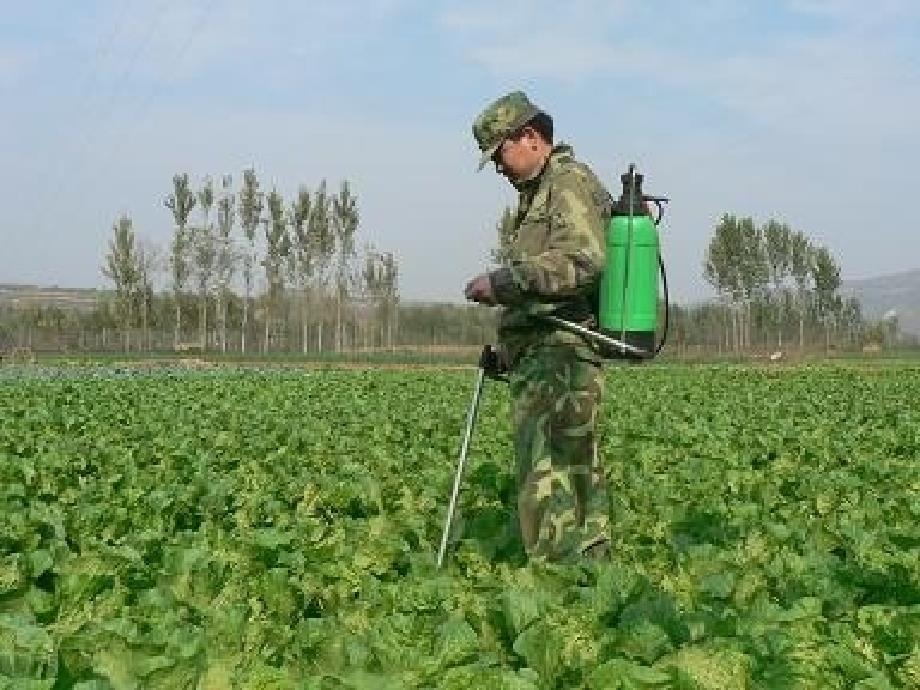 无机盐的吸收、运输和利用