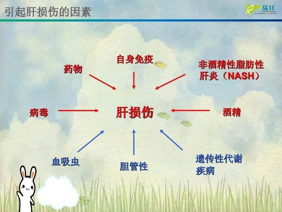 关注抗炎保肝治疗_第5页