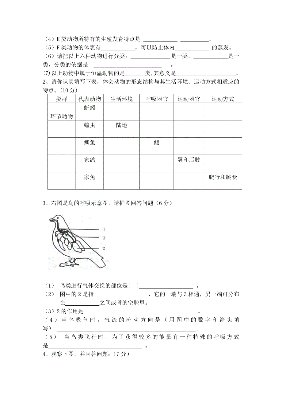 生物圈中的动物.doc_第3页