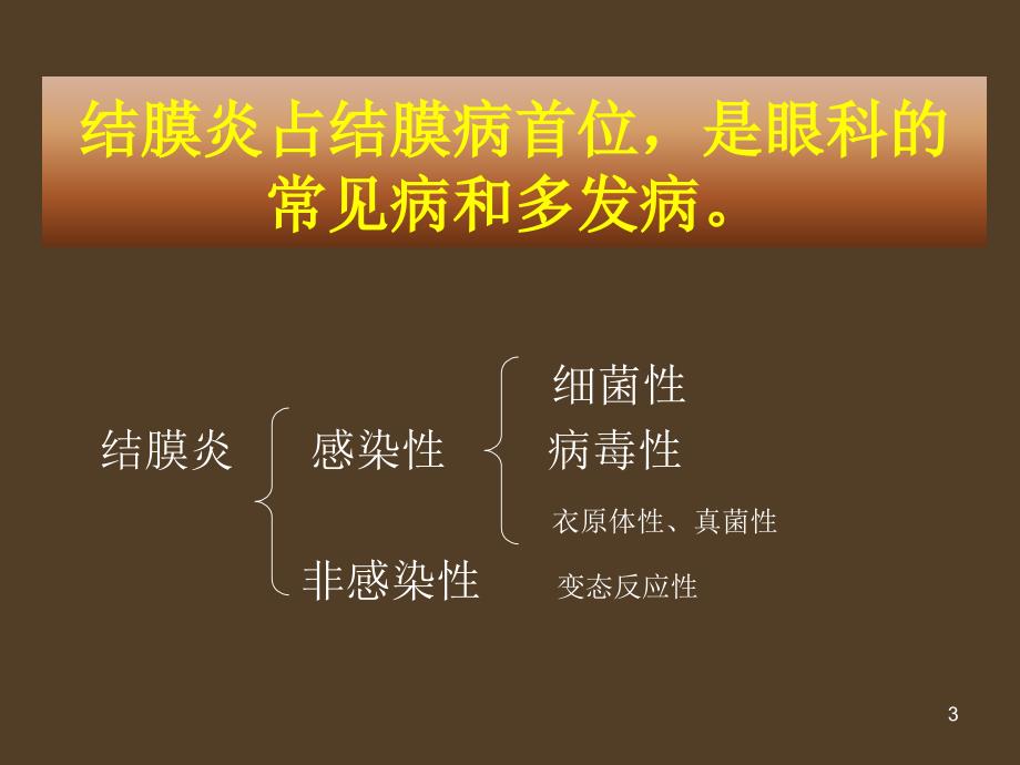 细菌性结膜炎与病毒性结膜炎的临床表现及治疗课件_第3页