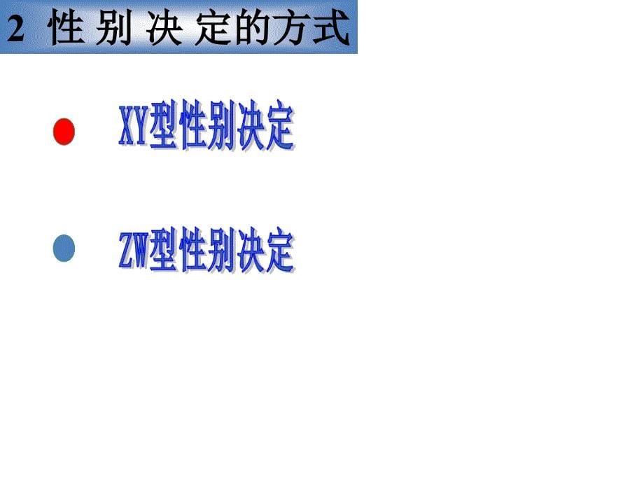 性别决定和伴性遗传课件_第5页