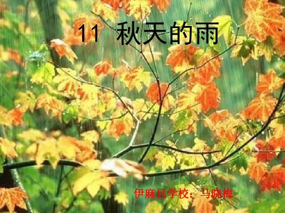 《秋天的雨》马晓梅_第1页