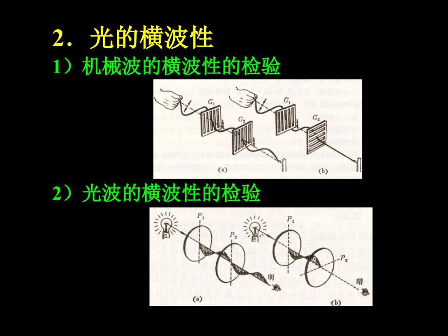 大学光学经典课件L12光的横波性与五种偏振态_第3页