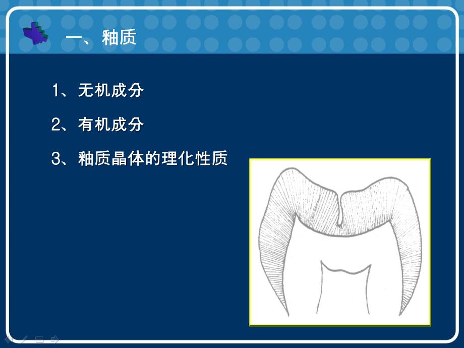 口腔生物化学ppt课件精选文档_第4页