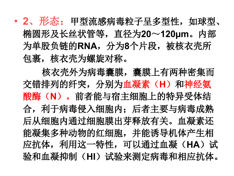 动物传染病-十、流行性感冒_第4页