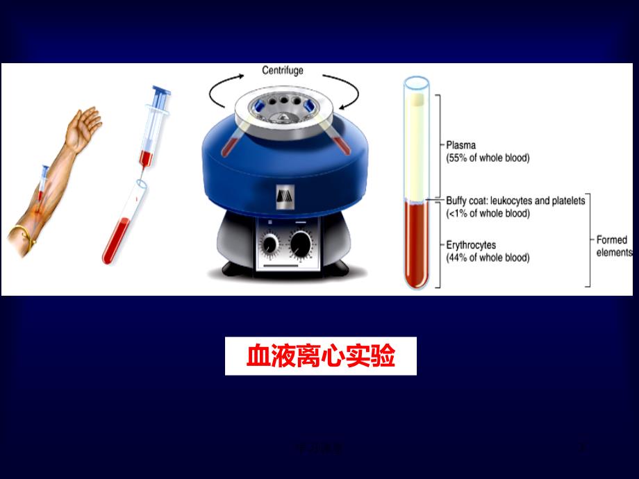 组织学与胚胎学课件 血液【课堂上课】_第3页