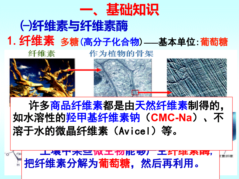 选123分解纤维素的微生物的分离_第3页