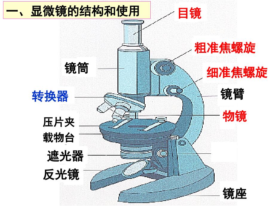 细胞的多样性和统一性_第2页