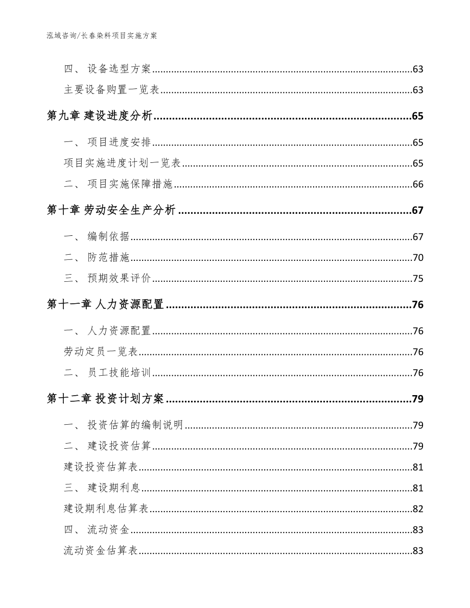 长春染料项目实施方案（模板）_第3页