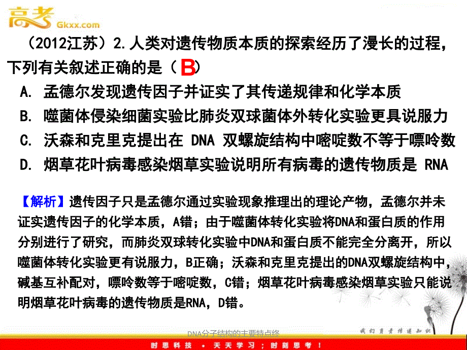 DNA分子结构的主要特点终课件_第4页