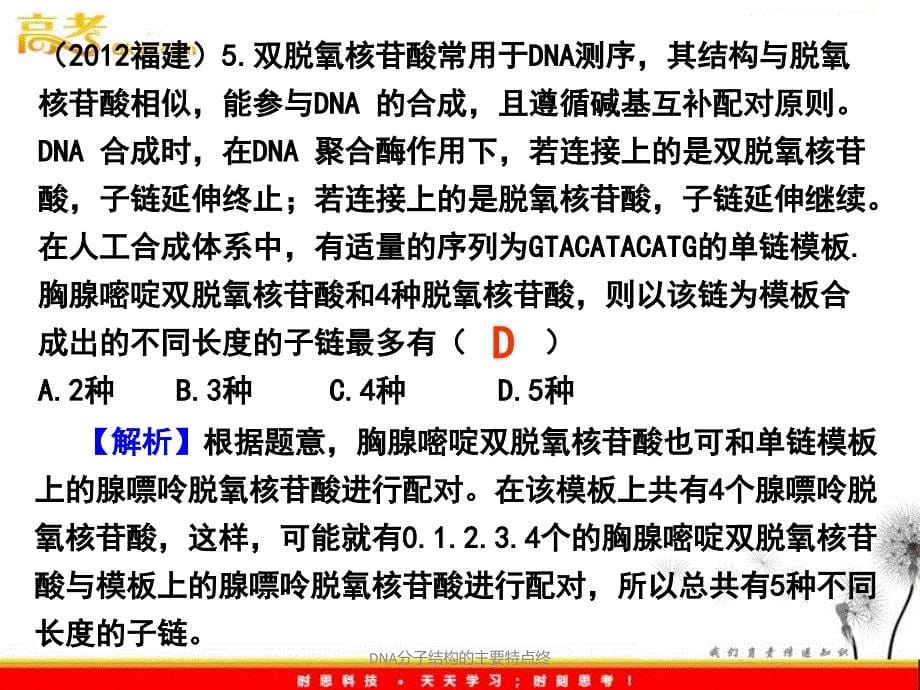 DNA分子结构的主要特点终课件_第5页