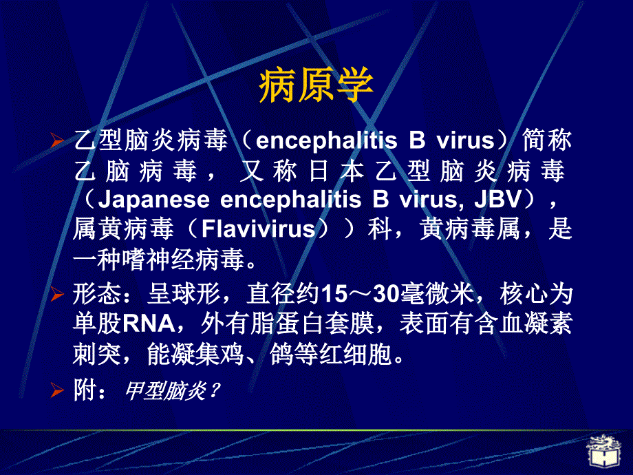 CP28流行性乙脑炎_第3页