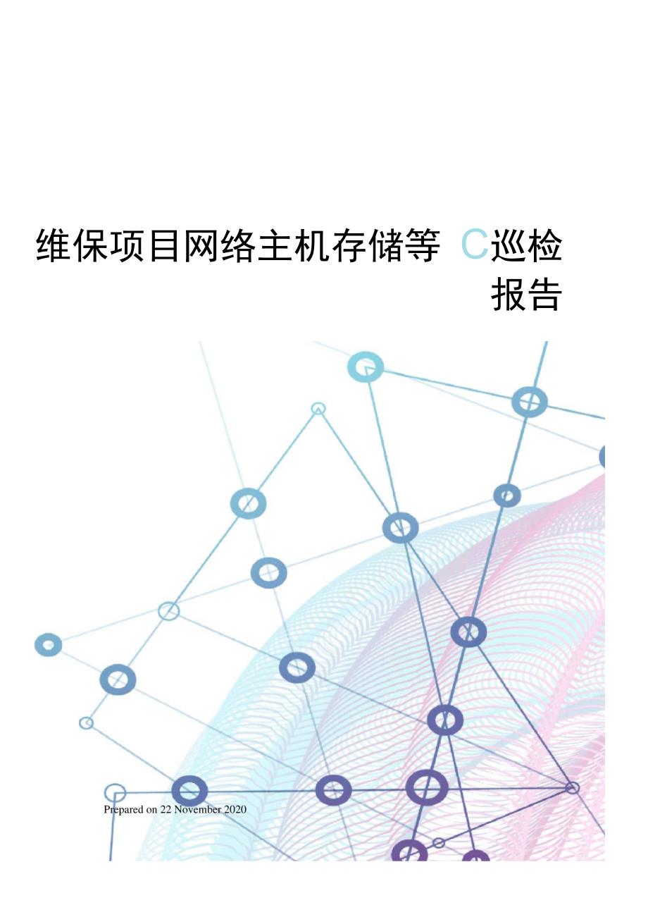 维保项目网络主机存储等巡检报告_第1页