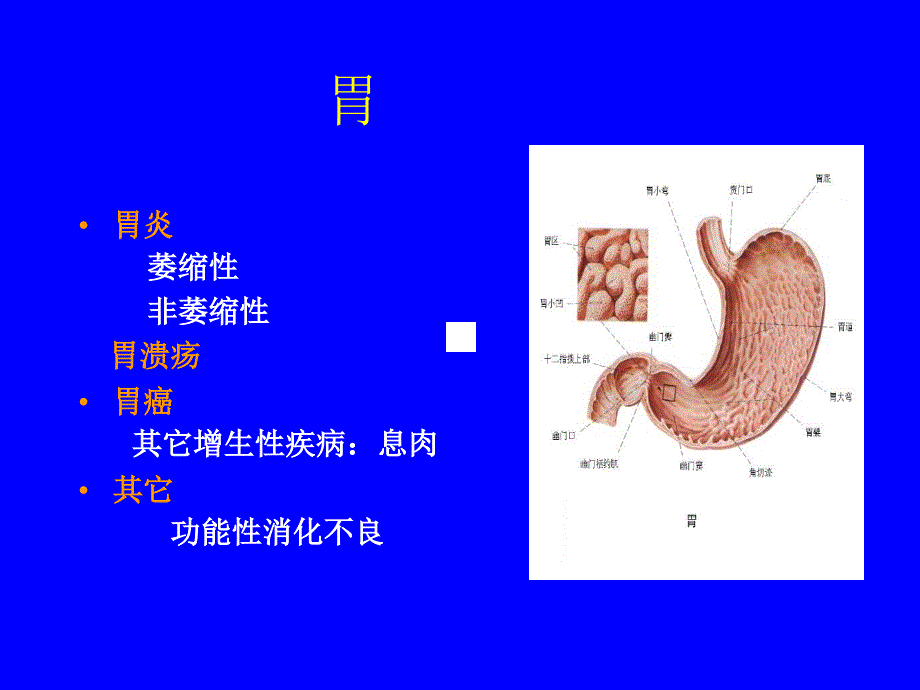 优质文档林森消化系统疾病的症状体征与检查_第4页