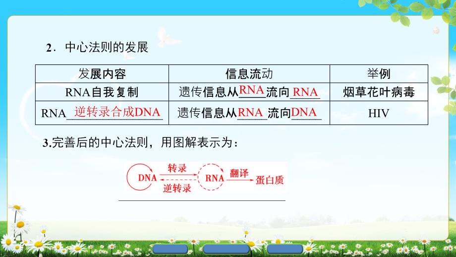 版第4章第2节基因对性状的控制_第4页