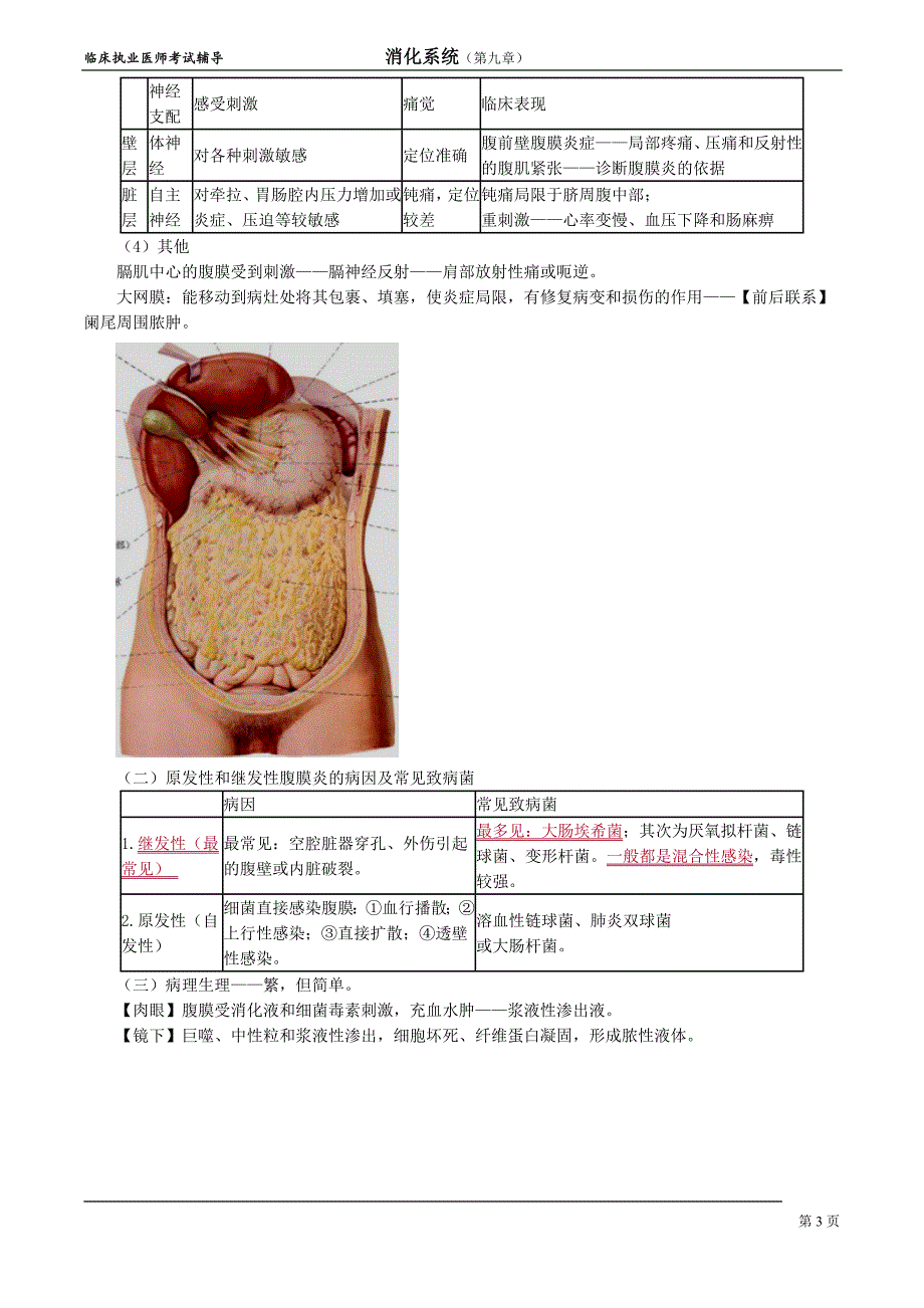 消化系统xhxt_jy0901.doc_第3页