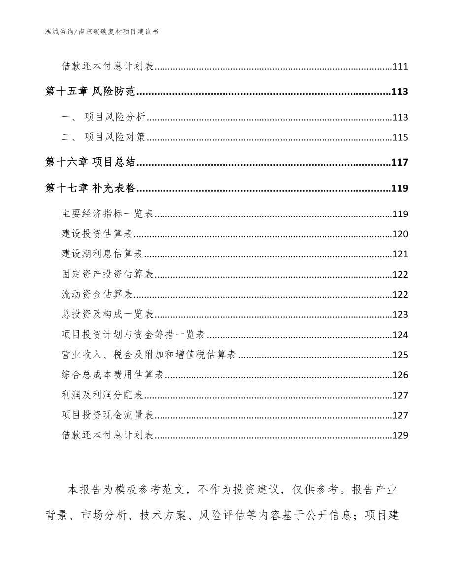 南京碳碳复材项目建议书_第5页