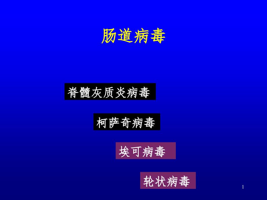 肠道病毒与轮状病毒(课堂PPT)_第1页