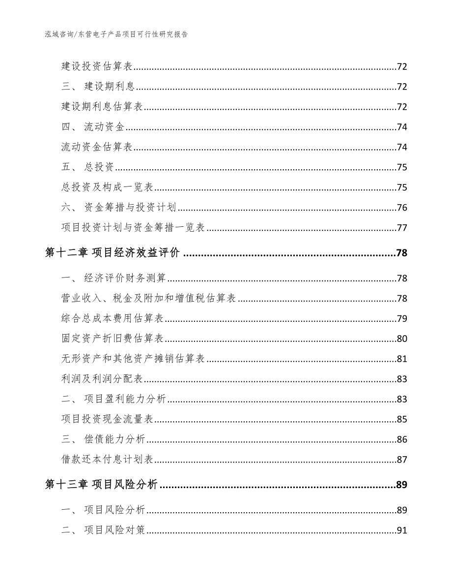 东营电子产品项目可行性研究报告_参考模板_第5页