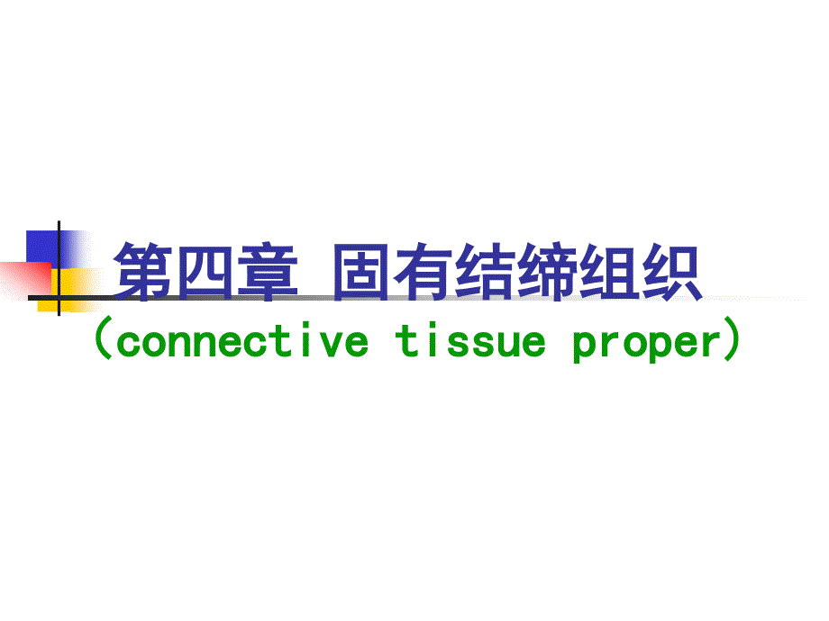组织学与胚胎学：第四章 固有结缔组织_第1页