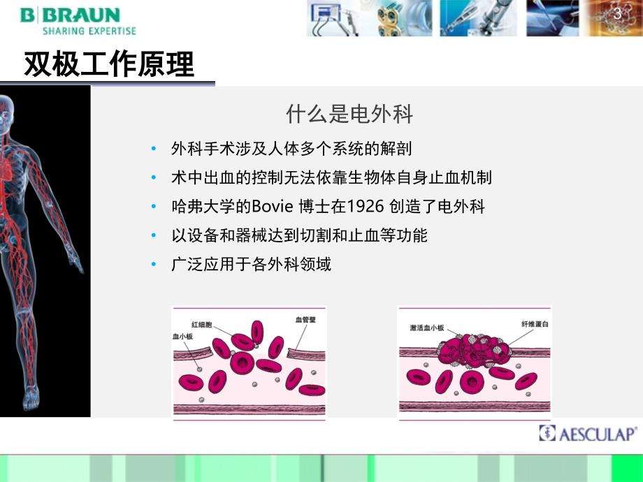 德国蛇牌双极电凝器GN160PPT课件_第3页