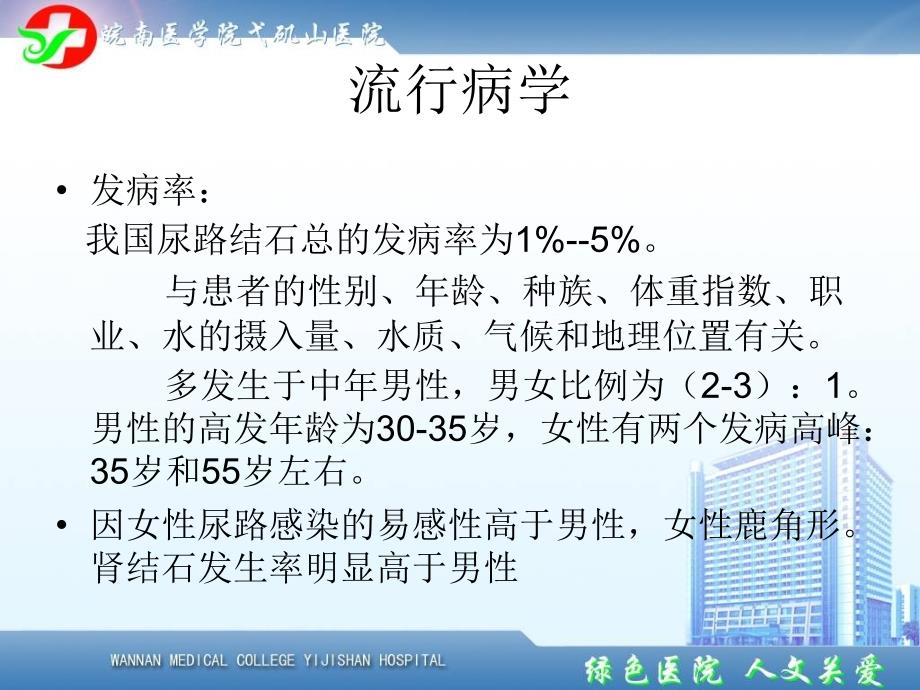 2014鹿角形结石指南解读.ppt_第4页