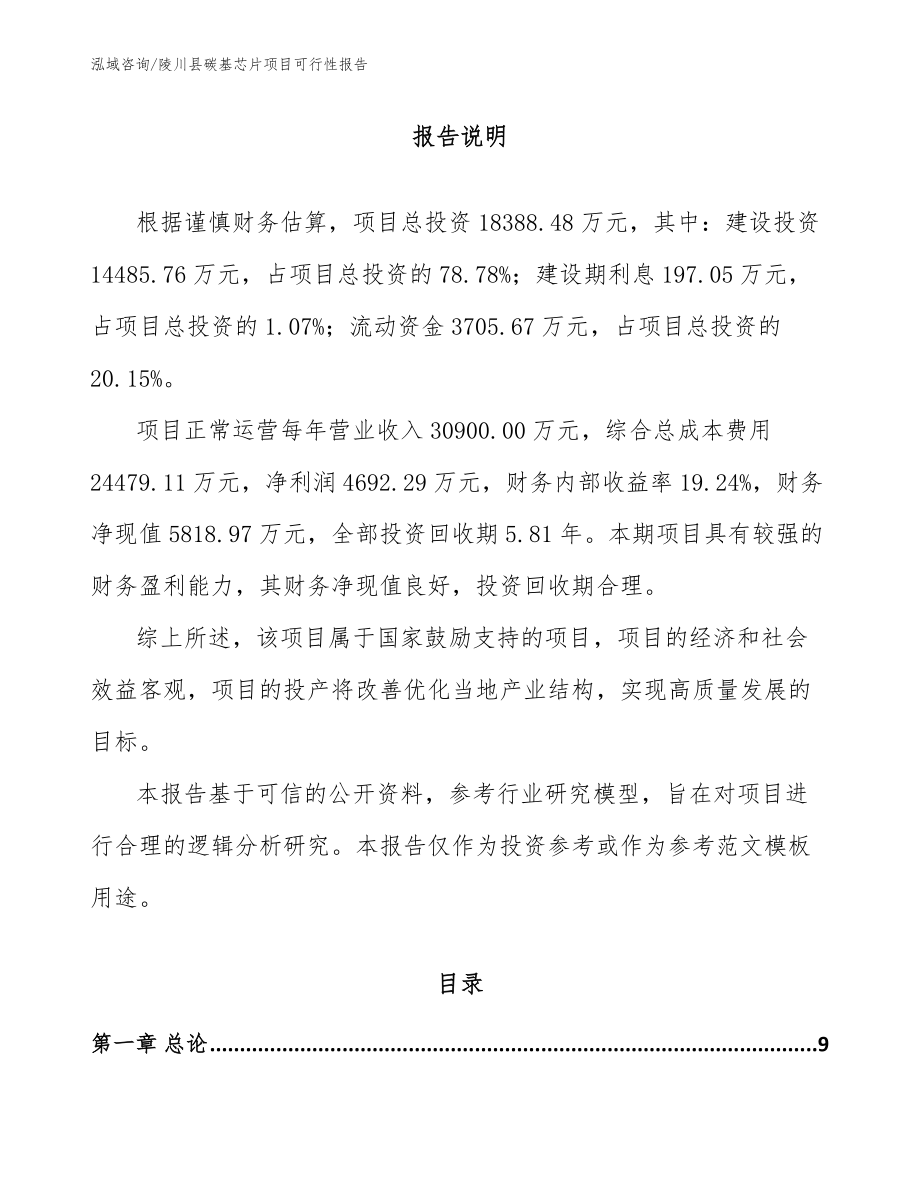 陵川县碳基芯片项目可行性报告_范文模板_第2页