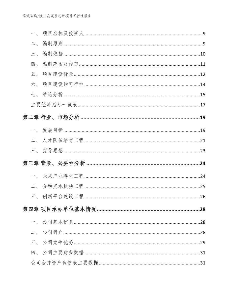 陵川县碳基芯片项目可行性报告_范文模板_第3页