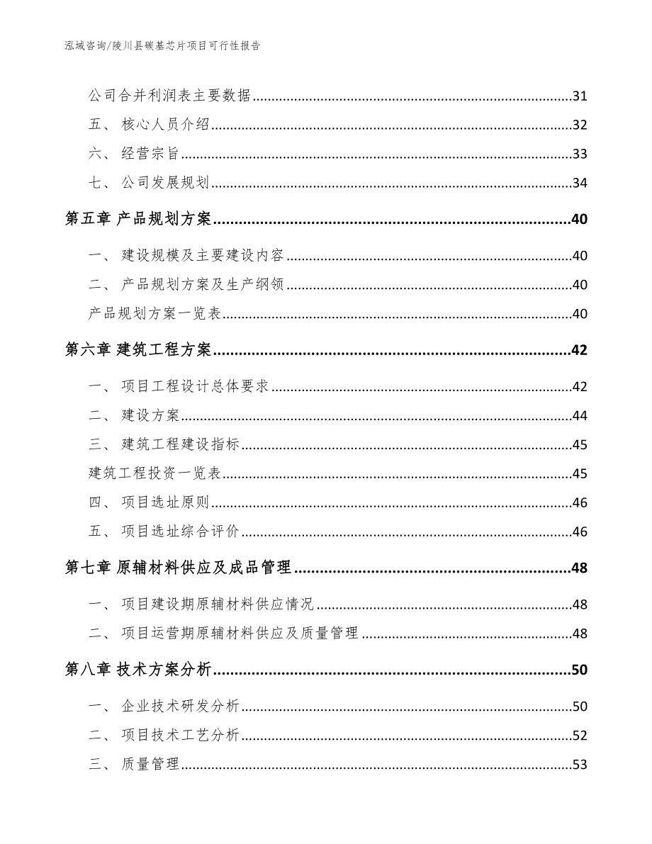 陵川县碳基芯片项目可行性报告_范文模板_第4页