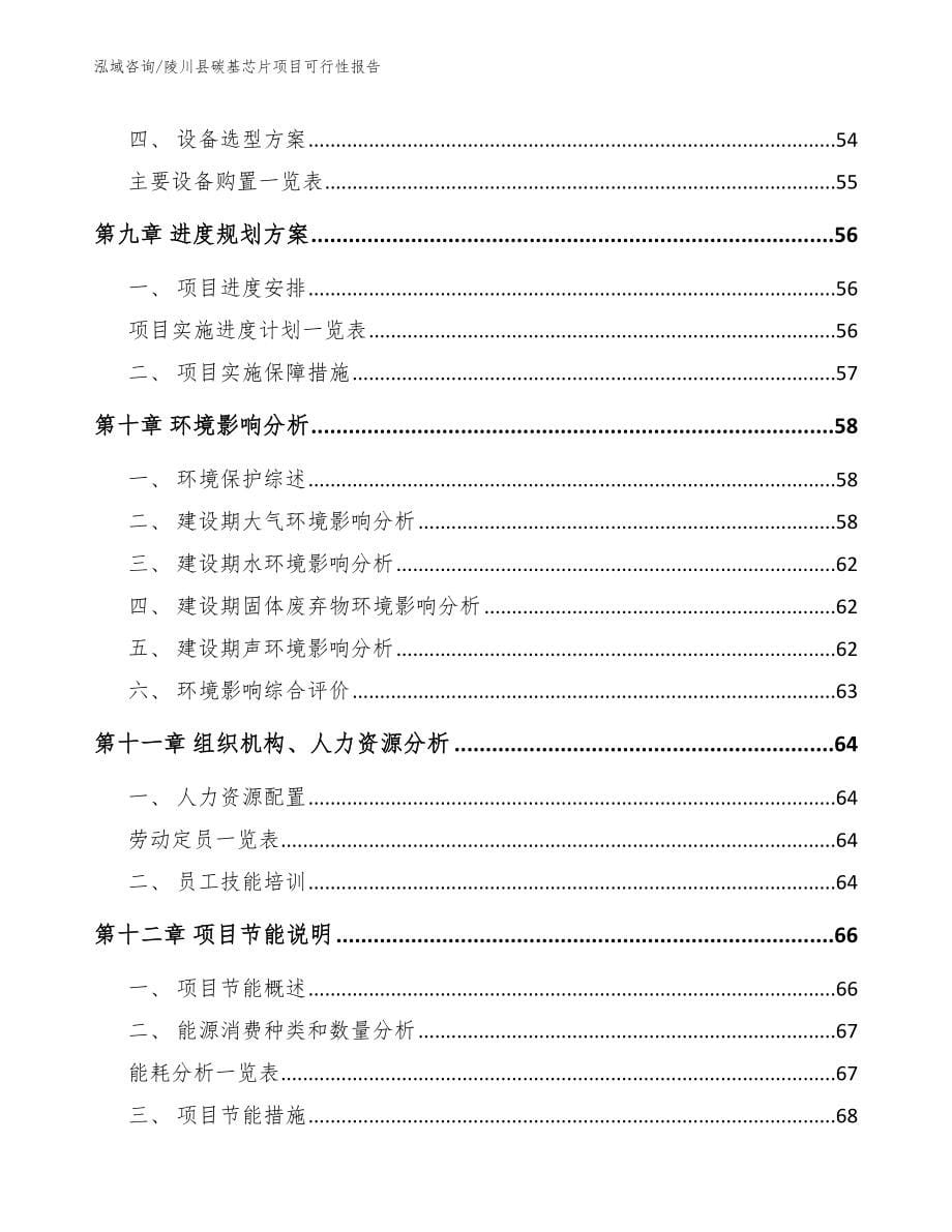 陵川县碳基芯片项目可行性报告_范文模板_第5页
