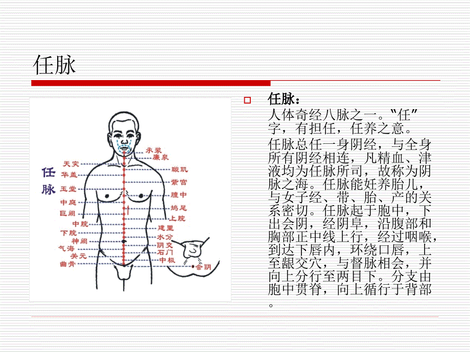 十四经脉与相对应精油.ppt_第2页