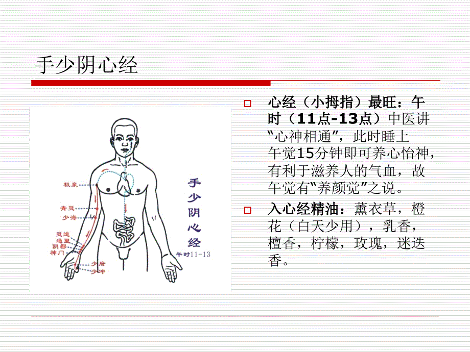 十四经脉与相对应精油.ppt_第4页